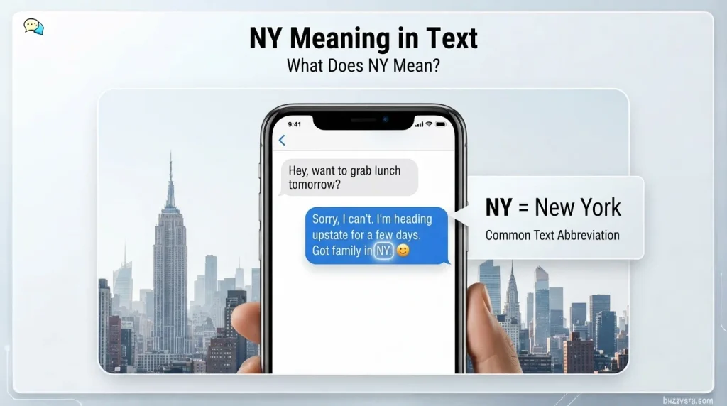 Definition & Meaning of NY in Text