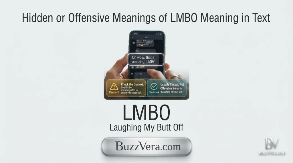Hidden or Offensive Meanings of LMBO Meaning in Text